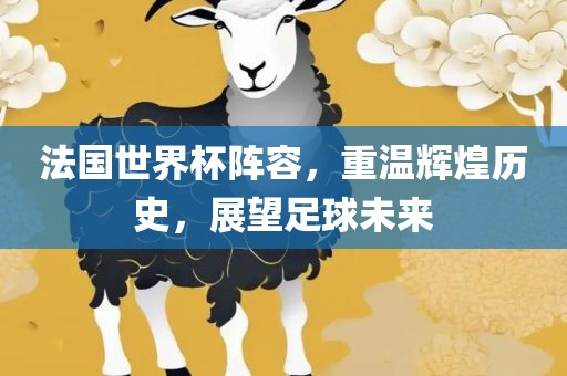 法国世界杯阵容，重温辉煌历史，展望足球未来