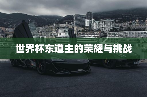 世界杯东道主的荣耀与挑战眉山市正发家政服务有限公司