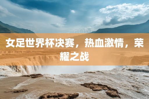 女足世界杯决赛，热血激情，荣耀之战眉山市正发家政服务有限公司