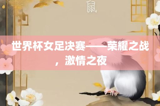 世界杯女足决赛——荣耀之战，激情之夜