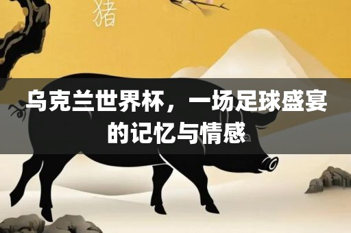 乌克兰世界杯，一场足球盛宴的记忆与情感眉山市正发家政服务有限公司