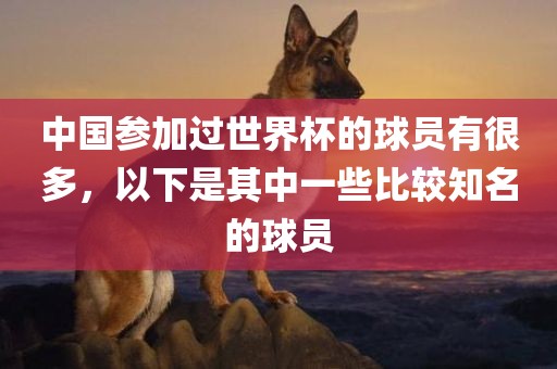 中国参加过世界杯的球员有很多，以下是其中一些比较知名的球员
