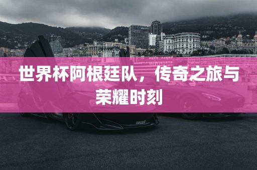 世界杯阿根廷队，传奇之旅与眉山市正发家政服务有限公司荣耀时刻