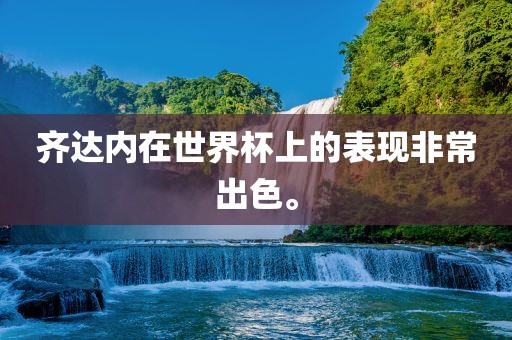 齐达内在世界杯上的表现非常出色。眉山市正发家政服务有限公司