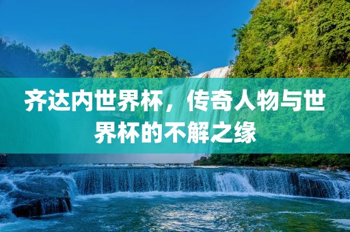 齐达内世界杯，传奇人物与世界杯的不解之缘眉山市正发家政服务有限公司