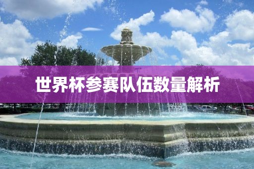 世界杯参赛队伍数量解析眉山市正发家政服务有限公司