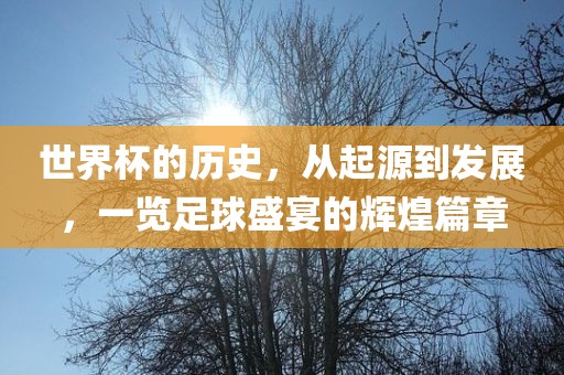 世界杯的历史，从起源到发展，一览足球盛宴的辉煌篇章眉山市正发家政服务有限公司