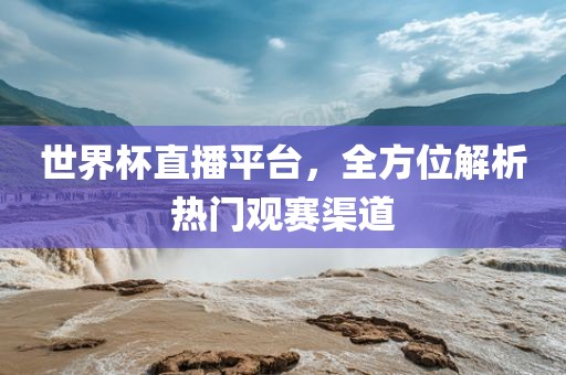 世界杯直播平台，全方位解析热门观赛渠道眉山市正发家政服务有限公司
