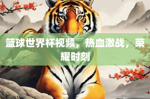 篮球世界杯视频，热血激战，荣耀时刻眉山市正发家政服务有限公司