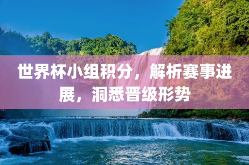 世界杯小组积分，解析赛事进展，洞悉晋级形势