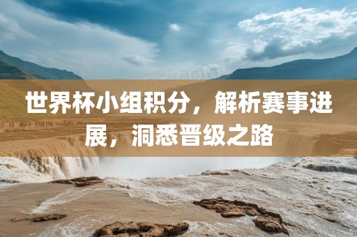 世界杯小组积分，解析赛事进展，洞悉晋级之路