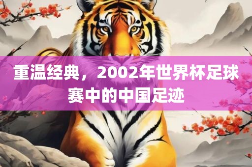 重温经典，2002年世界杯足球赛中的中国足迹眉山市正发家政服务有限公司