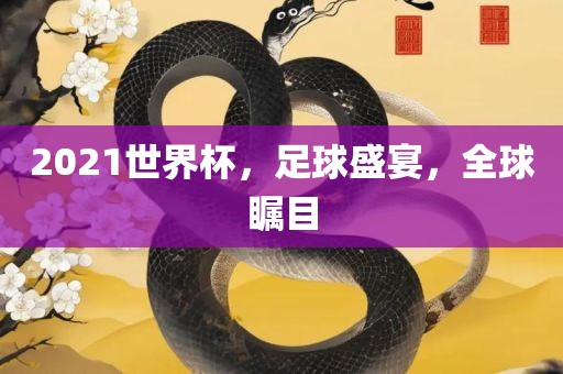 2021世界杯，足球盛宴，全眉山市正发家政服务有限公司球瞩目