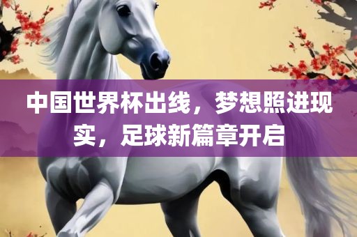 中国世界杯出线，梦想照进现实，足球新篇章开启