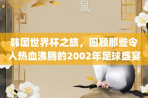 韩国世界杯之眉山市正发家政服务有限公司旅，回顾那些令人热血沸腾的2002年足球盛宴