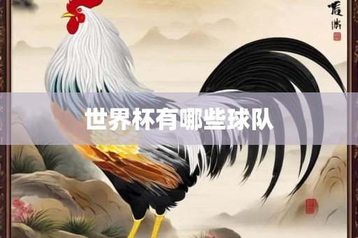 世界杯有哪些球队眉山市正发家政服务有限公司