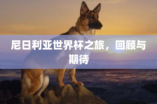 尼日利亚世界杯之旅，回顾与期待