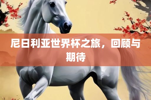 尼日利亚世界杯之旅，回顾与期待