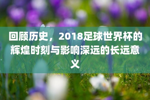 回顾历史，2018足球世界杯的辉煌时刻与影响深远的长远意义眉山市正发家政服务有限公司