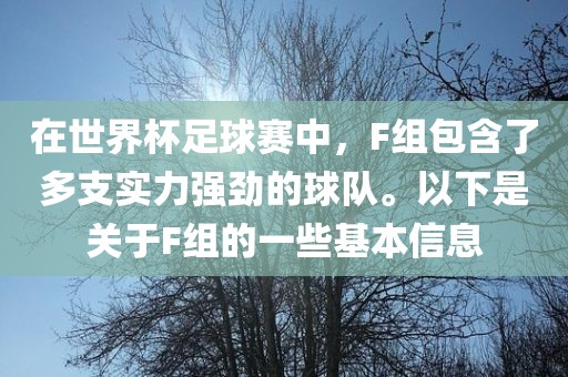 在世界杯足球赛中，F(xiàn)组包含了多支实力强劲的球队。以下是关于F组的一些基本信息眉山市正发家政服务有限公司