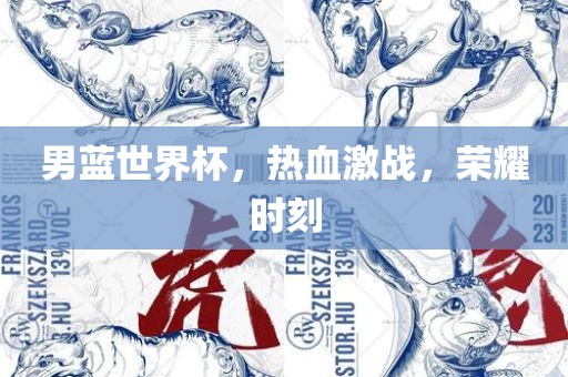 男蓝世界杯，热血激战，荣耀时刻