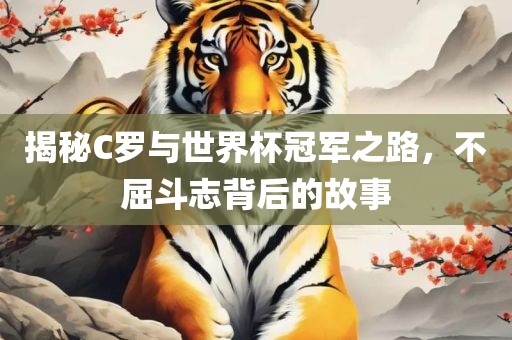 眉山市正发家政服务有限公司揭秘C罗与世界杯冠军之路，不屈斗志背后的故事