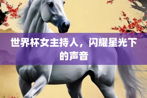 世界杯女主持人，闪耀星光下的声音