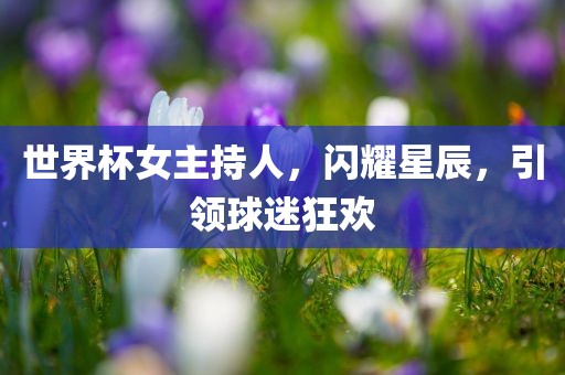 世界杯女主持人，闪耀星辰，引领球迷狂欢
