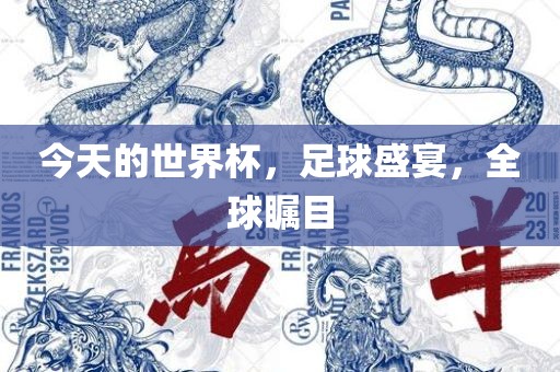 足球盛宴 第16页