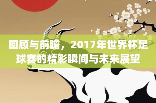 回顾与前瞻，2017年世界杯足球赛的精彩瞬间与未来展望眉山市正发家政服务有限公司