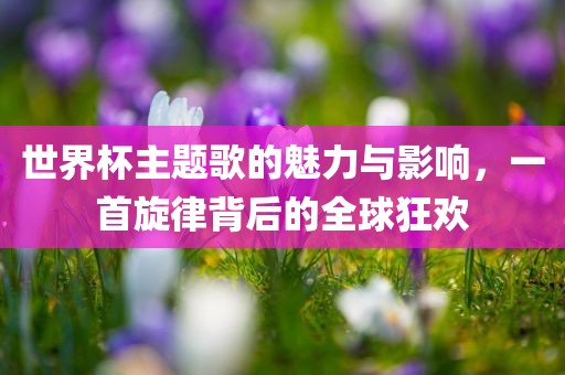 世界杯主题歌的魅力与影响，一首旋律背后的全球狂欢眉山市正发家政服务有限公司