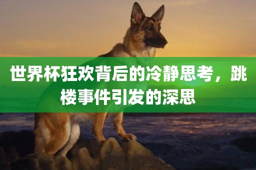 世界杯狂欢背后的冷静思考，跳楼事件引发的深思眉山市正发家政服务有限公司