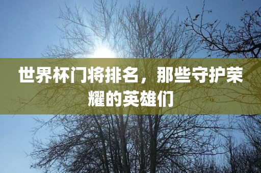 世界杯门将排名，那些守护荣耀的英雄们