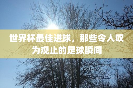 世界杯最佳进球，那些令人叹为观止的足球瞬间