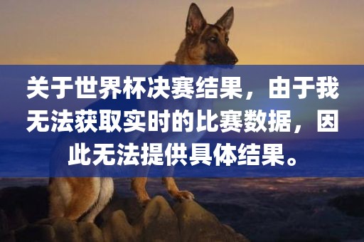 关于世界杯决赛结果，由于我无法获取实时的比赛数据，因此无法提供具体结果。