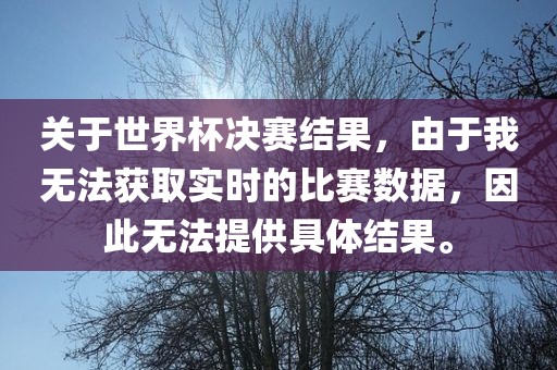 关于世界杯决赛结果，由于我无法获取实时的比赛数据，因此无法提供具体结果。