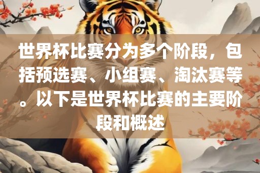 世界杯比赛分为多个阶段，包括预选赛、小组赛、淘汰赛等。以下是世界杯比赛的主要阶段和概述眉山市正发家政服务有限公司