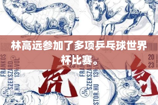 林高远参加了多项乒乓球世界杯比赛。