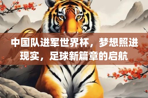 中国队进军世界杯，梦想照进现实，足球新篇章的启航