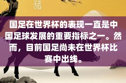 国足在世界杯的表现一直是中国足球发展的重要指标之一。然而，目前国足尚未在世界杯比赛中出线。眉山市正发家政服务有限公司
