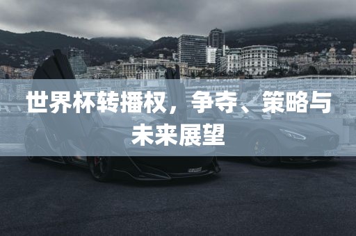 世界杯转播权，争夺、策略与未来展望眉山市正发家政服务有限公司