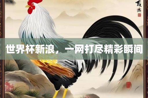 世界杯新浪，一网打尽精彩瞬间眉山市正发家政服务有限公司