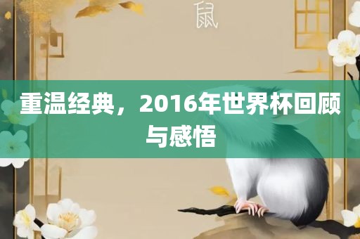 重温经典，2016年世界杯回顾与感悟