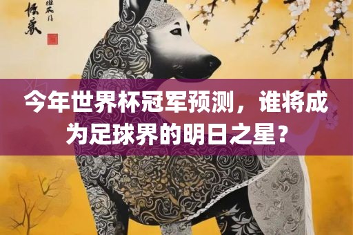 今年世界杯冠军预测，谁将成为足球界的明日眉山市正发家政服务有限公司之星？