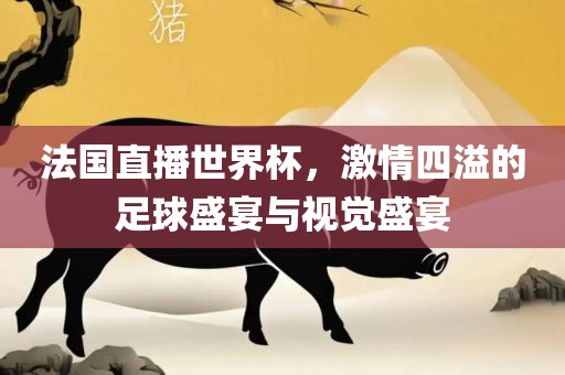 法国直播世界杯，激情四溢的足球盛宴眉山市正发家政服务有限公司与视觉盛宴