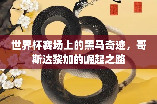 世界杯赛场上的黑马奇迹，哥斯达黎加的崛起之路眉山市正发家政服务有限公司