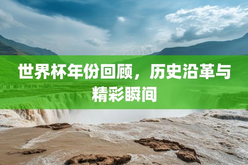 世界杯年份眉山市正发家政服务有限公司回顾，历史沿革与精彩瞬间