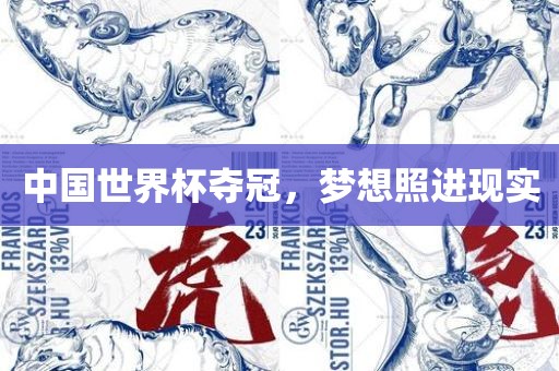 中国世界杯夺冠，梦想照进现实眉山市正发家政服务有限公司