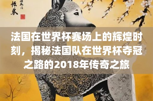 法国在世界杯赛场上的辉煌时刻，揭秘法国队在世界杯夺冠之路的2018年传奇之旅眉山市正发家政服务有限公司