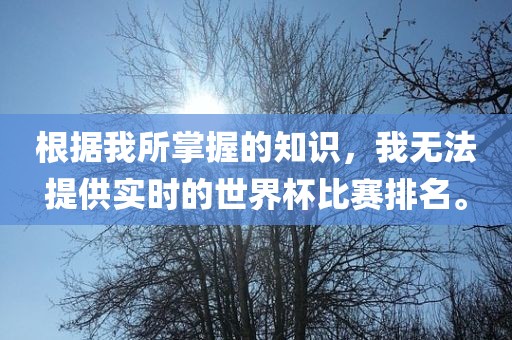 根据我所掌握的知识，我无法提供实时的世界杯比赛排名。